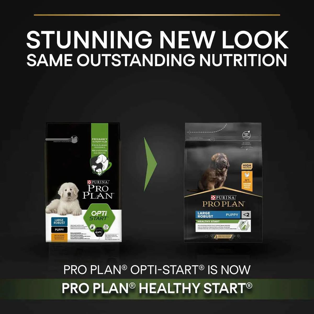PRO PLAN Large Robust Puppy with OPTISTART Rich in Chicken Dry Food - 3 KG