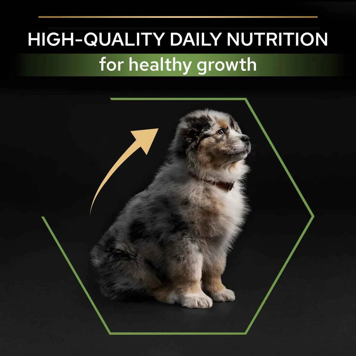 PRO PLAN Medium Puppy with OPTISTART Rich in Chicken Dry Food-3 KG