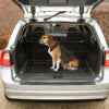 Dog cottage Savic 91cm