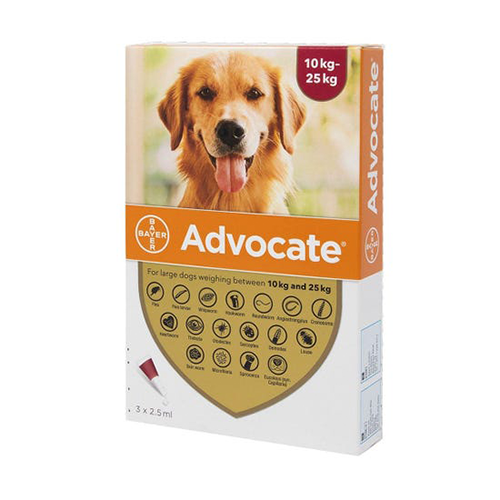 Advocate Large Dog 10kg-25kg: 1 Pipette of Protection