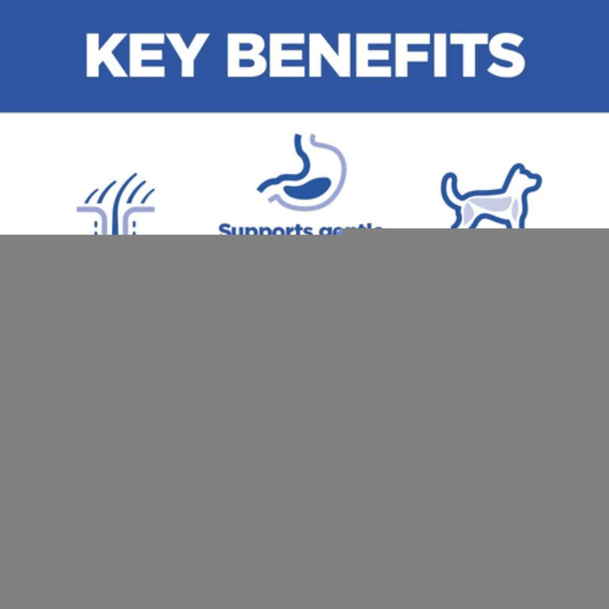 Hill's Science Plan Medium adult dog food with chicken 14kg