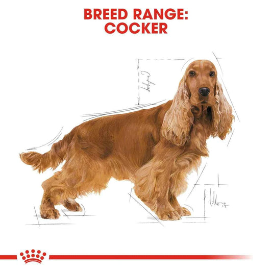 Royal Canin Cocker Adult (3 KG)