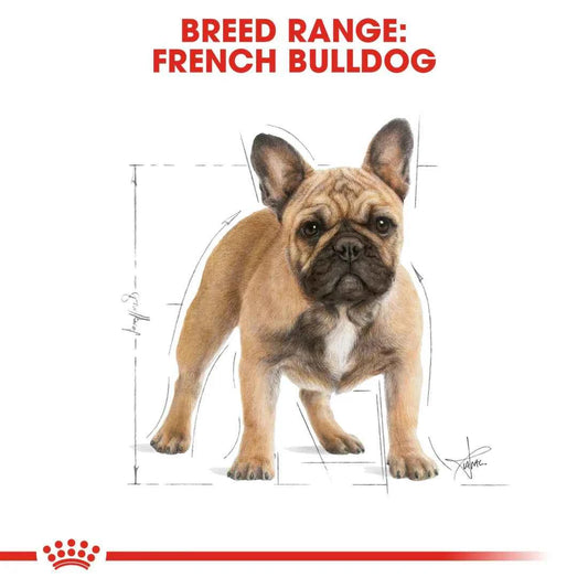 Royal Canin French Bulldog Adult (3 KG)