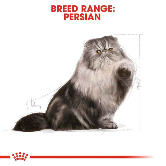 Royal Canin Persian Adult (10 KG)