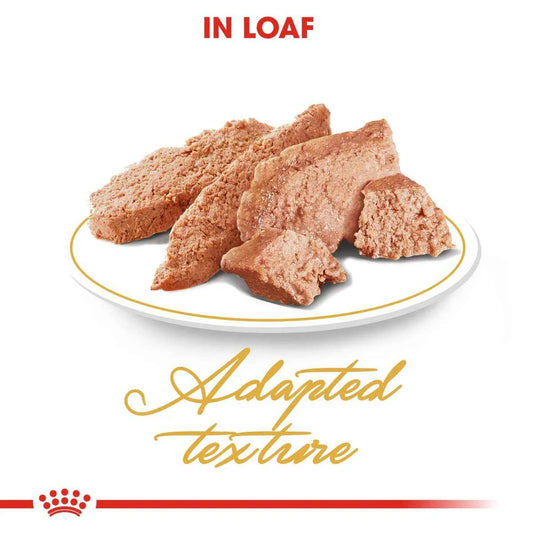 Royal Canin Persian Adult (85 gm\Pouch)