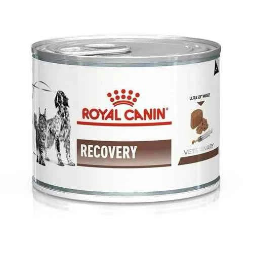 Royal Canin Recovery (195 gm)