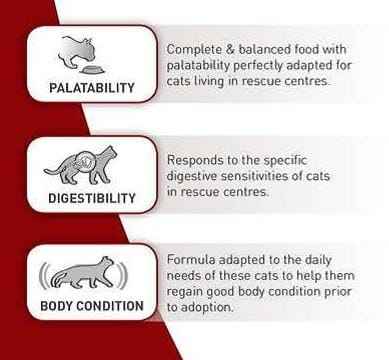 Royal Canin SC 365D (15 KG)