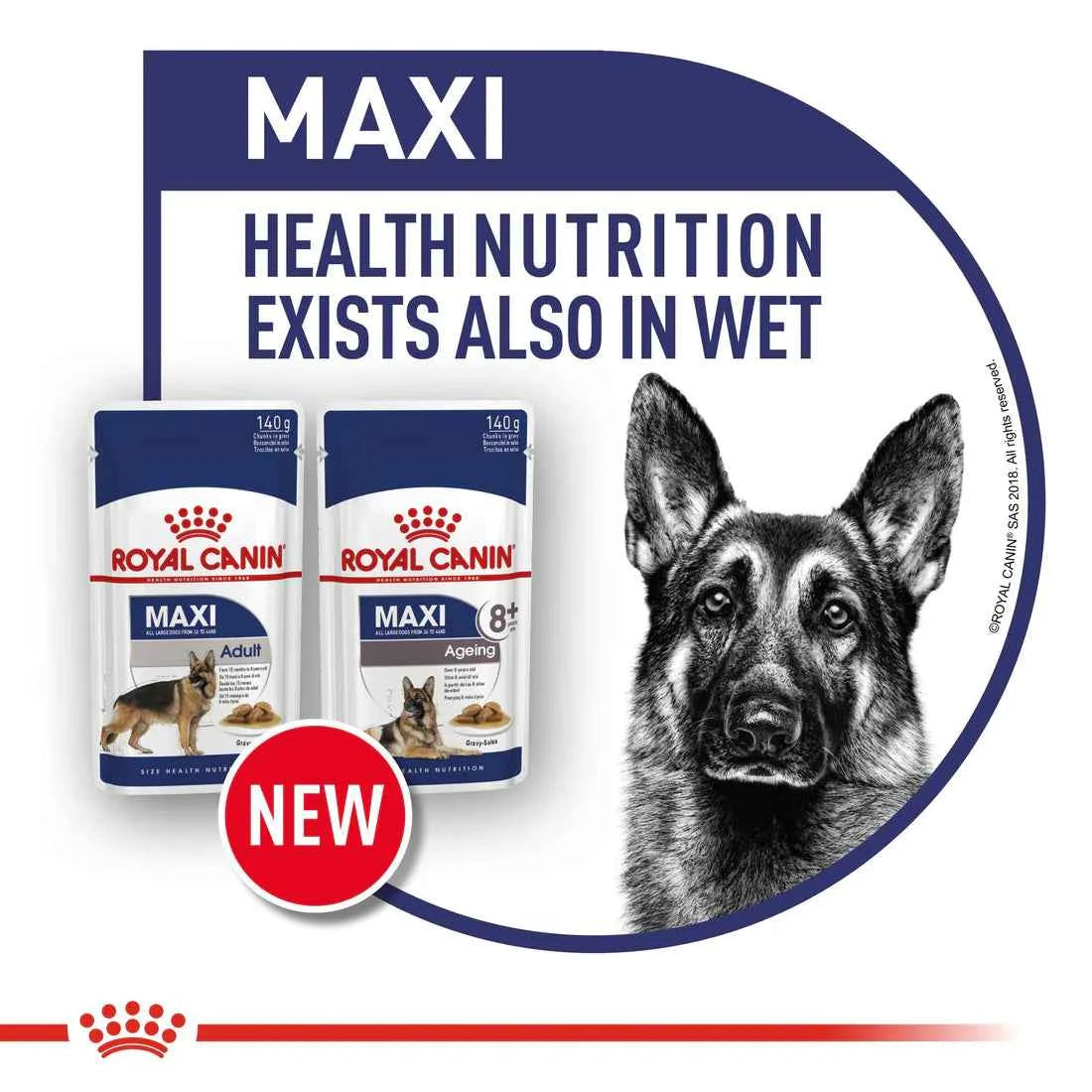 Royal Canin Maxi Adult (15 KG) - Dry food for large dogs