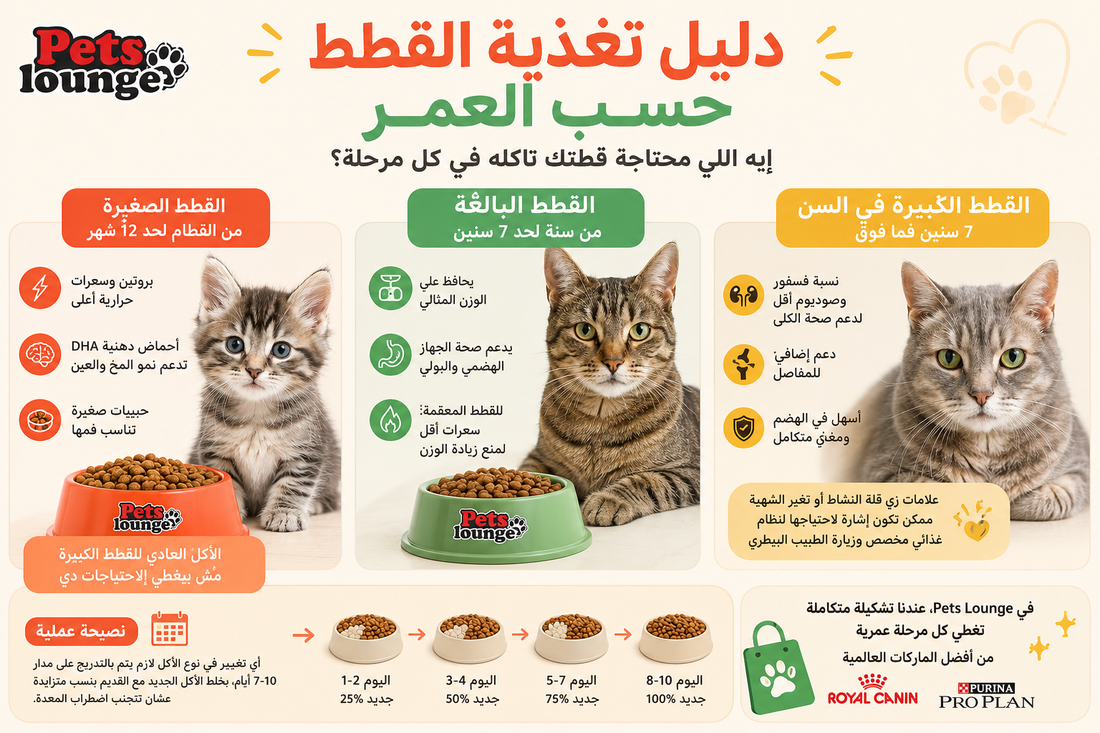 دليل تغذية القطط حسب العمر