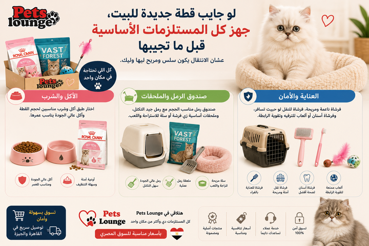 دليل شامل لمستلزمات القطط: كل ما تحتاجه بالتفصيل
