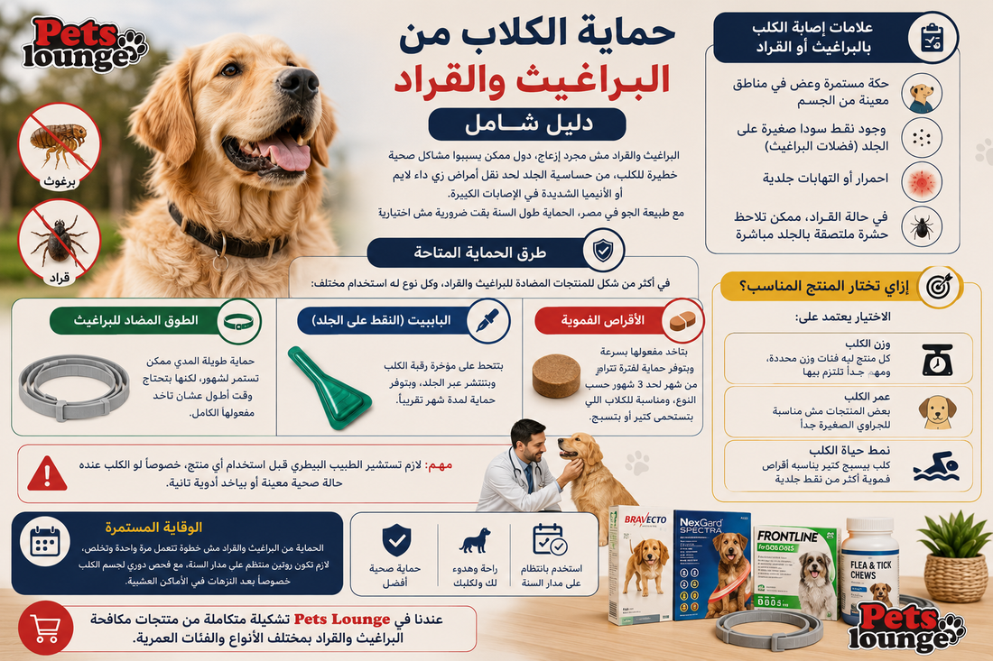 حماية الكلاب من البراغيث والقراد: دليل شامل