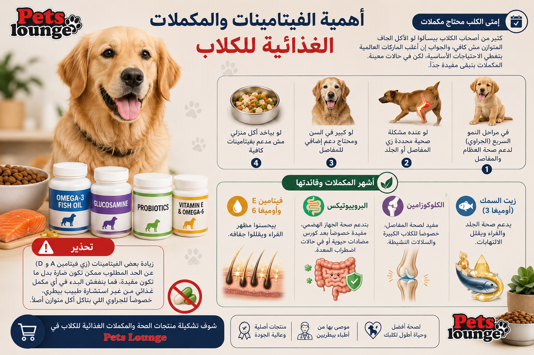 أهمية الفيتامينات والمكملات الغذائية للكلاب