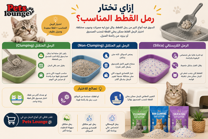 إزاي تختار رمل القطط المناسب؟