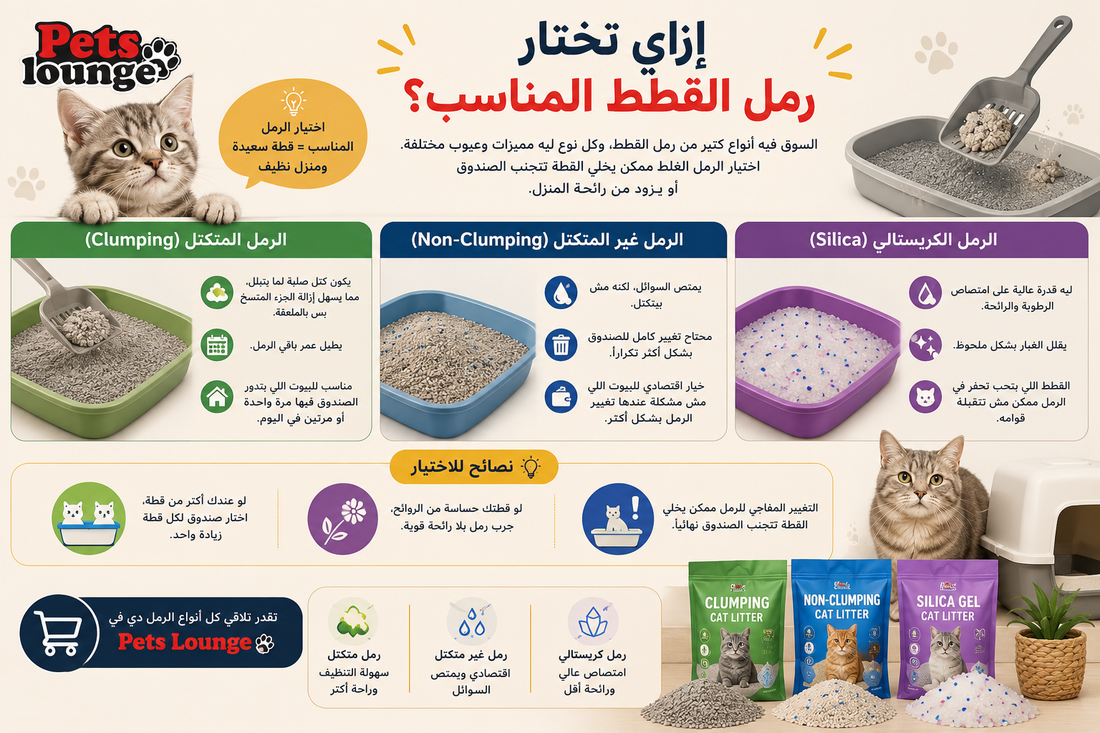إزاي تختار رمل القطط المناسب؟
