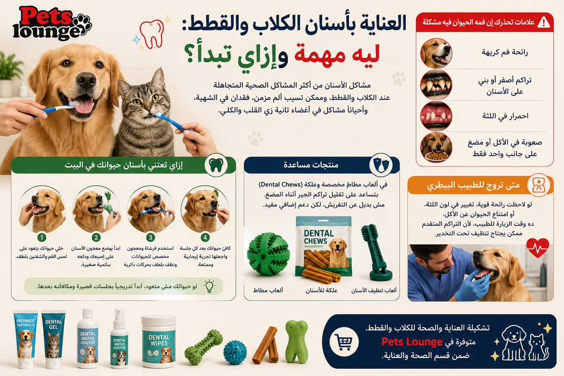 العناية بأسنان الكلاب والقطط: ليه مهمة وإزاي تبدأ؟