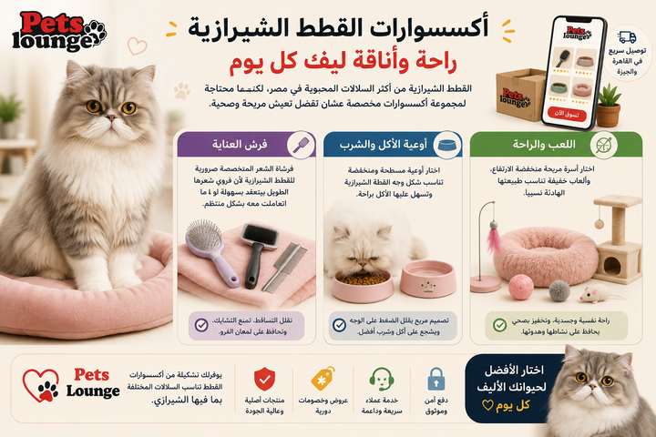 اكسسوارات القطط الشيرازي: أفضل المنتجات لراحة قطتك