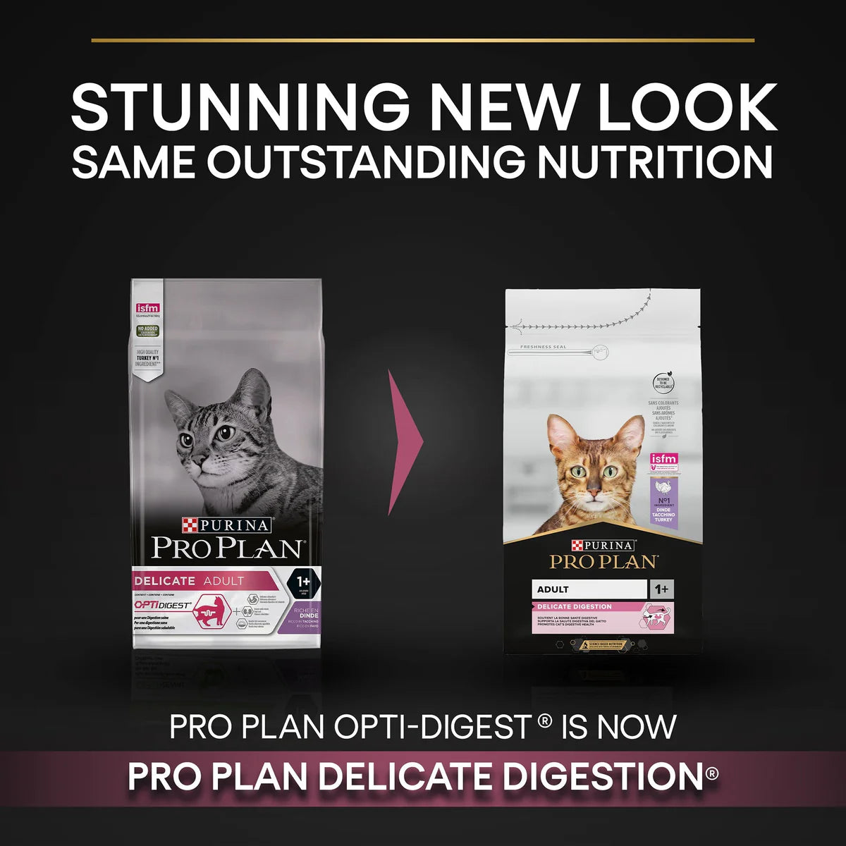 PRO PLAN Delicate Adult -OPTIDIGEST- Rich in Turkey Dry Cat Food - 10 KG