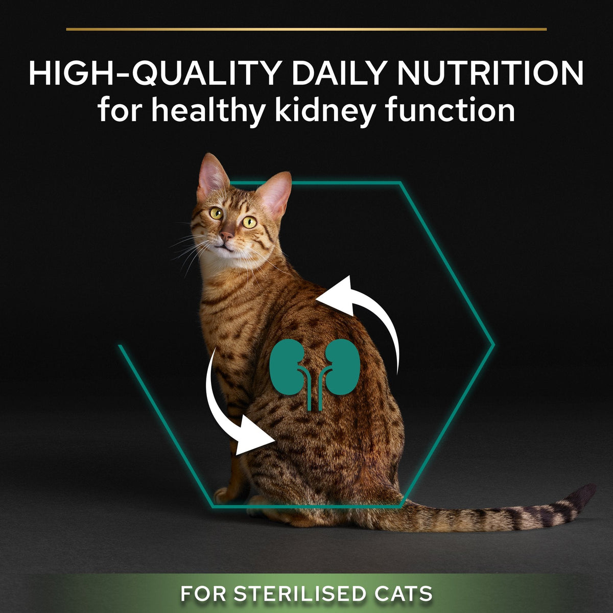 PURINA PRO PLANSterilised Adult RENAL PLUS, Rich in Turkey 10 KG