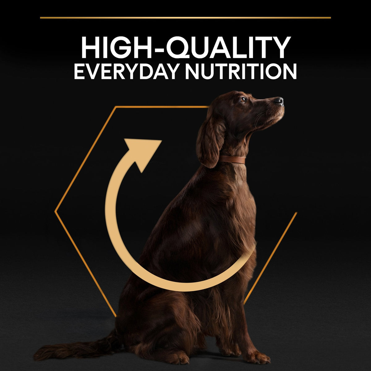 PURINA PRO PLANLarge Athletic OPTIBALANCE® Dry Dog Food Rich in Chicken - 14kG