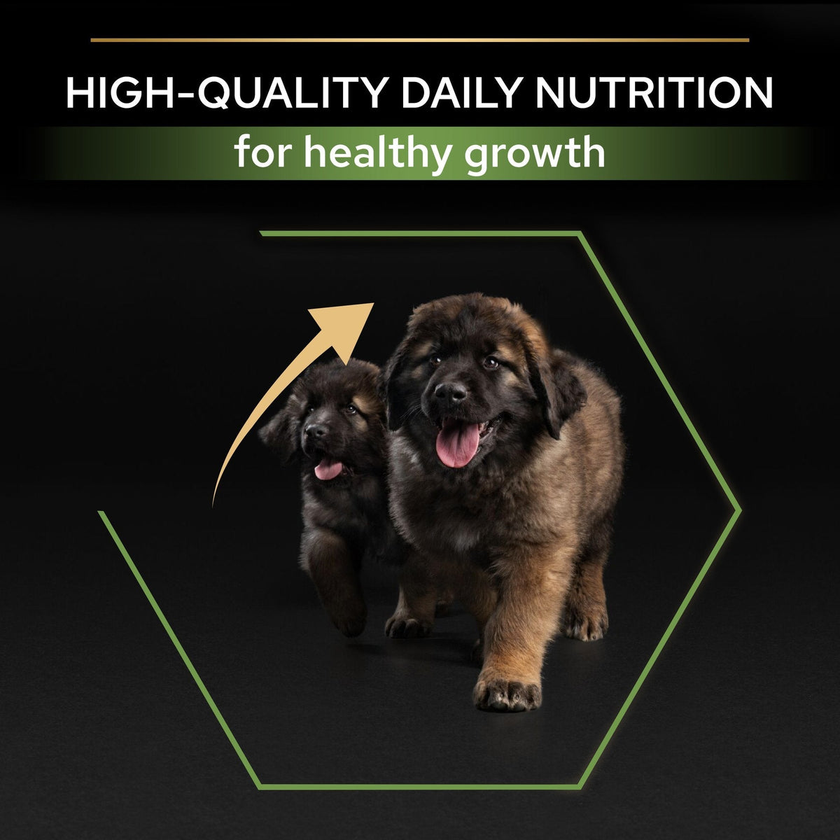 PURINA PRO PLANLarge Robust Puppy with OPTISTART® Rich in Chicken Dry Food - 12 KG