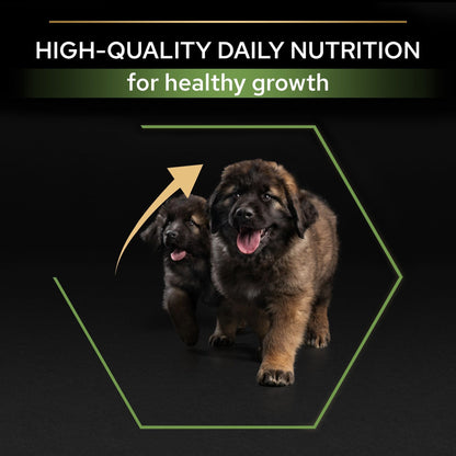 PURINA PRO PLANLarge Robust Puppy with OPTISTART® Rich in Chicken Dry Food - 12 KG
