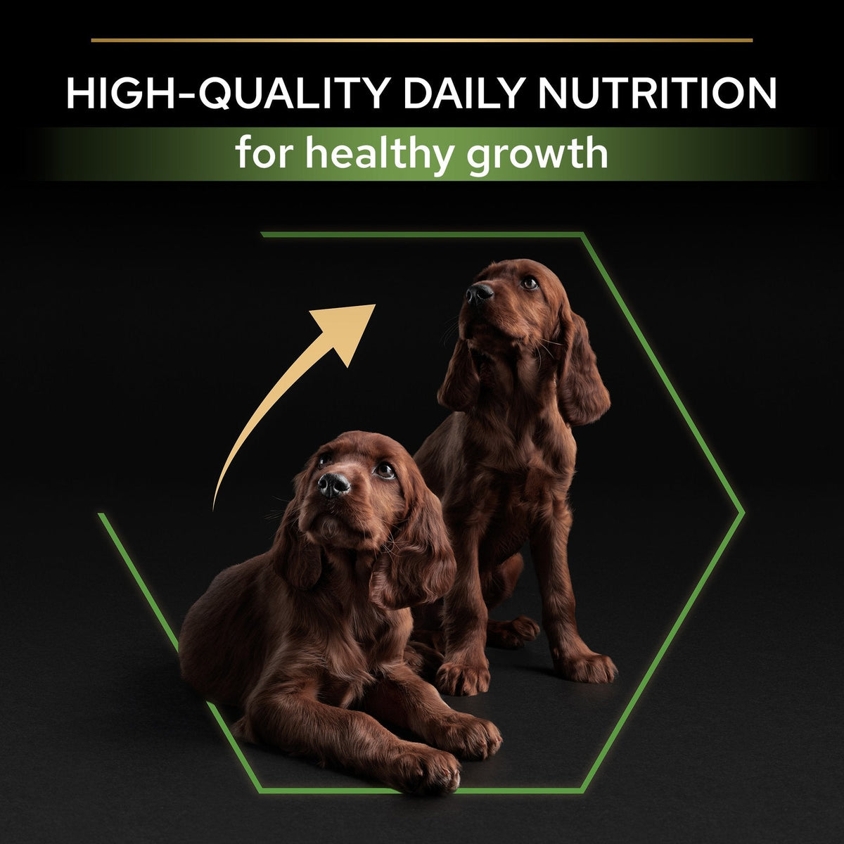 PURINA PRO PLAN Large Puppy Athletic with OPTISTART Dry Dog Food Rich in Chicken - 12 KG