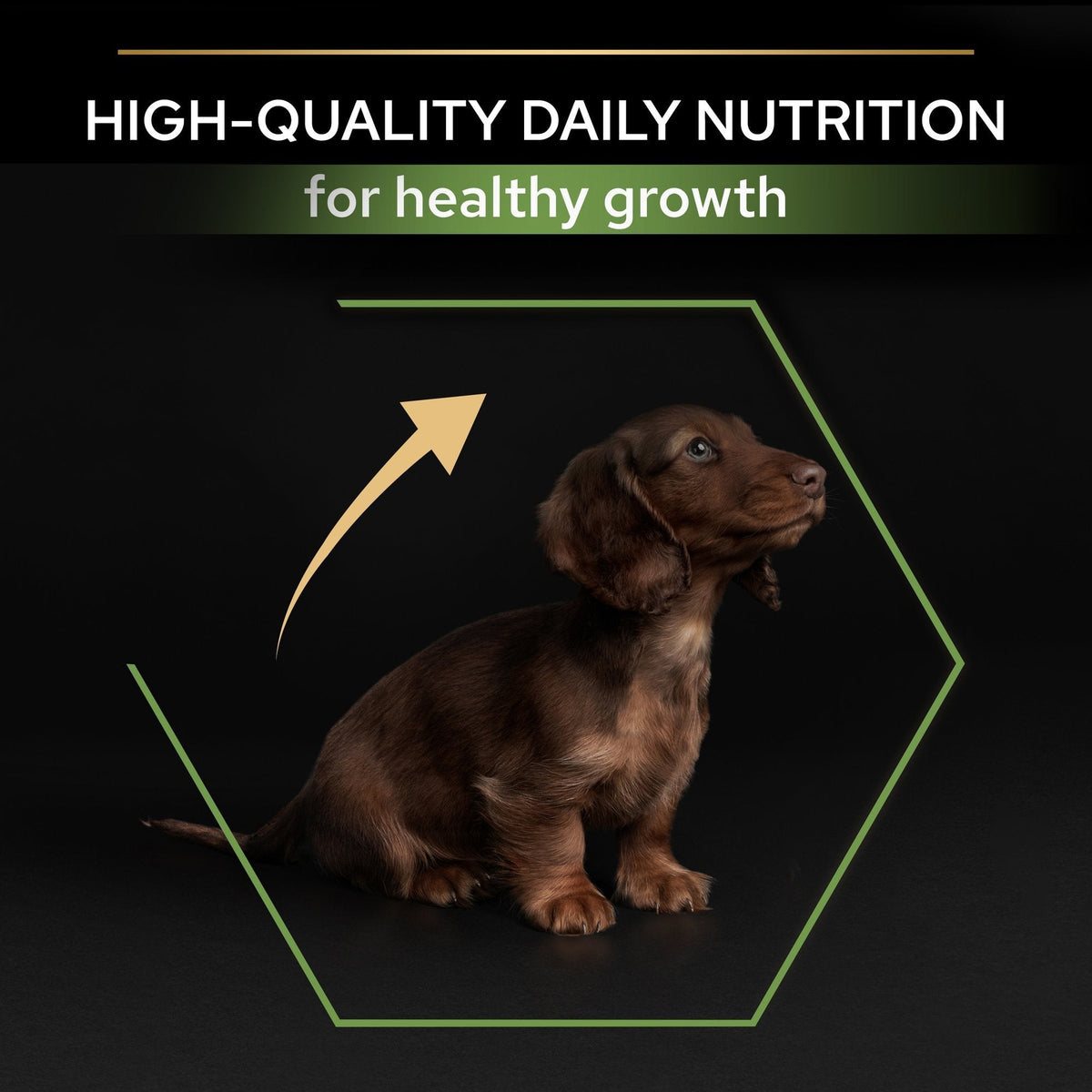 PURINA PRO PLANSmall & Mini Puppy with OPTISTART®, Rich in Chicken Dry Dog Food - 3 KG
