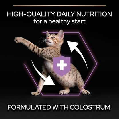 PURINA PRO PLANKitten Healthy Start - Chicken 3 KG