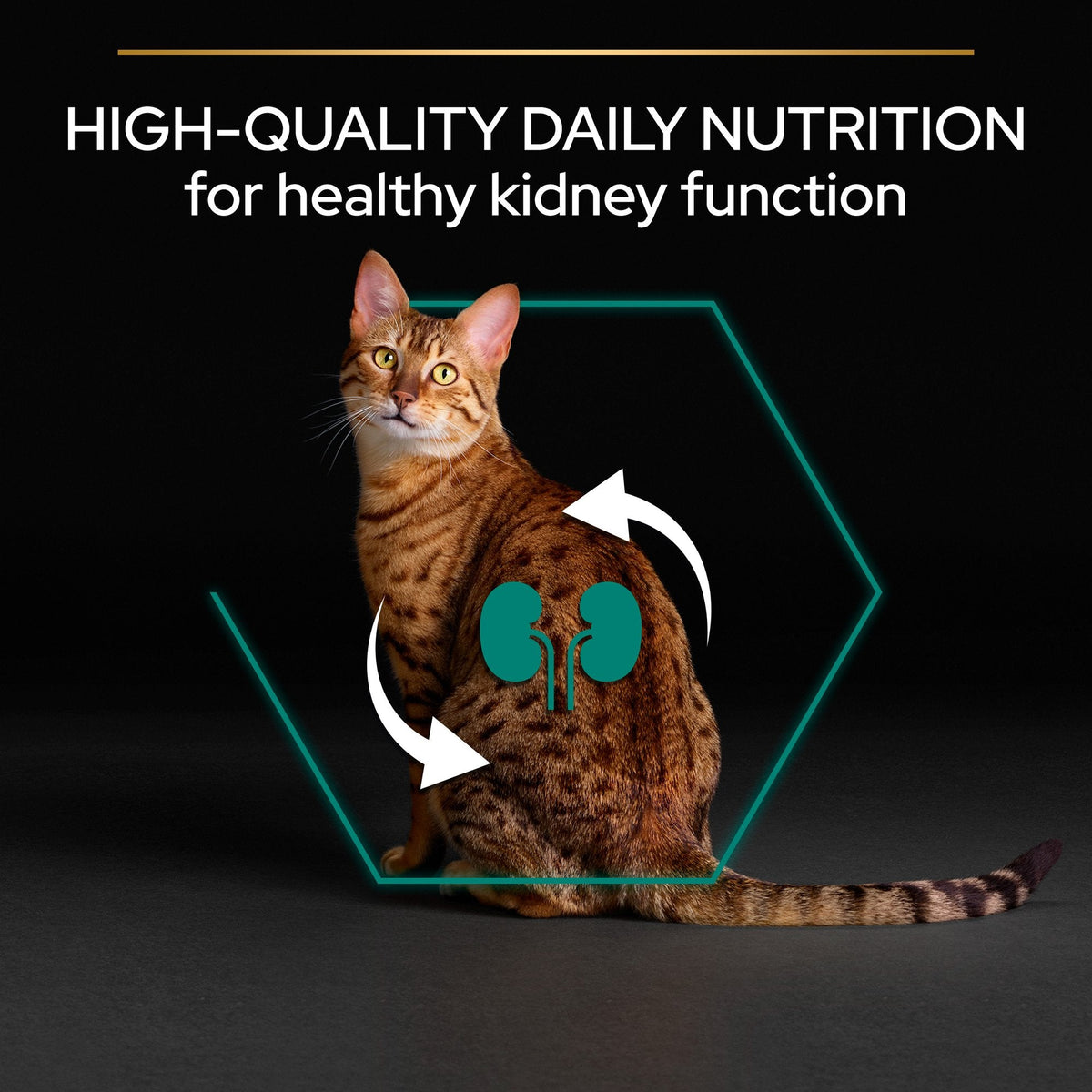 PURINA PRO PLANAdult RENAL PLUS, Rich in Chicken 10 KG