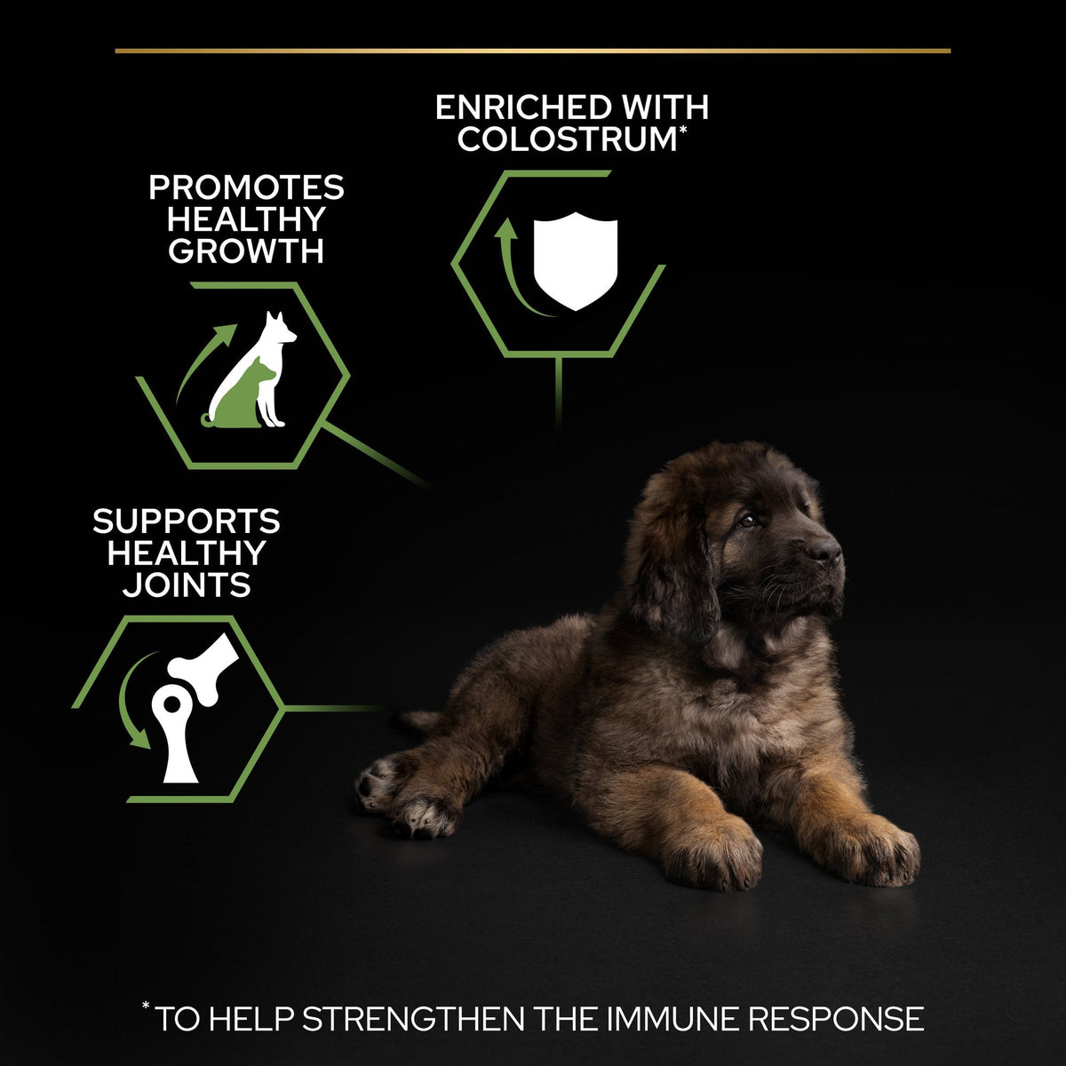 PURINA PRO PLANLarge Robust Puppy with OPTISTART® Rich in Chicken Dry Food - 12 KG