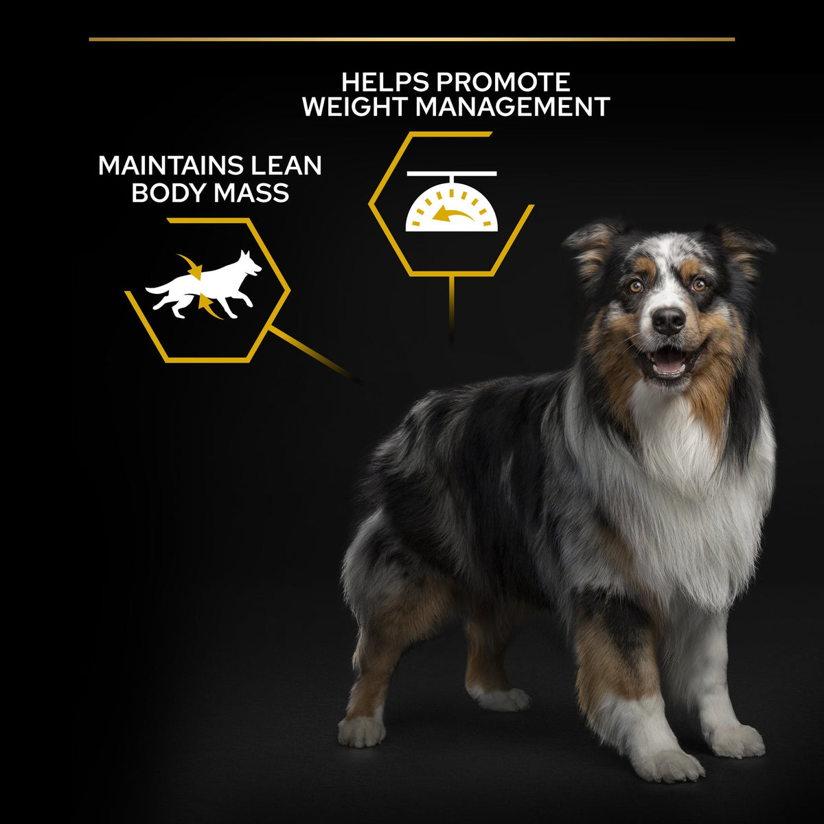 PURINA PRO PLANAll Sizes Adult Light / Sterilised with OPTIWEIGHT®, Rich in Chicken Dry Dog Food - 3 KG