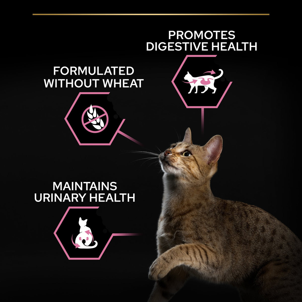 PURINA PRO PLANSterilised Adult DELICATE DIGESTION, Rich in Chicken 10 KG