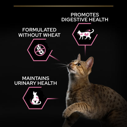 PURINA PRO PLANSterilised Adult DELICATE DIGESTION, Rich in Chicken 10 KG