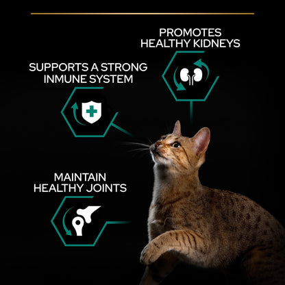 PURINA PRO PLANAdult RENAL PLUS, Rich in Chicken 10 KG