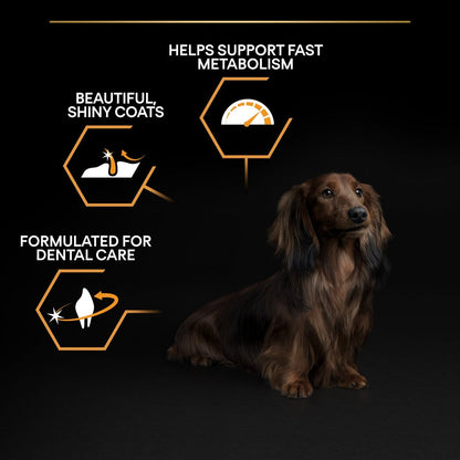 PURINA PRO PLANSmall & Mini Adult with OPTIBALANCE®, Rich in Chicken Dry Dog Food - 3 KG