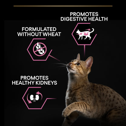 Purina pro plan delicate adult Cat Rich in Turkey Dry Food 400G