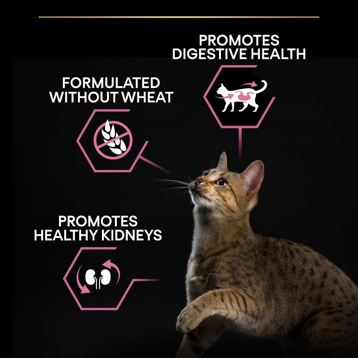 PURINA PRO PLAN Delicate Adult -OPTIDIGEST- Rich in Turkey Dry Cat Food - 10 KG