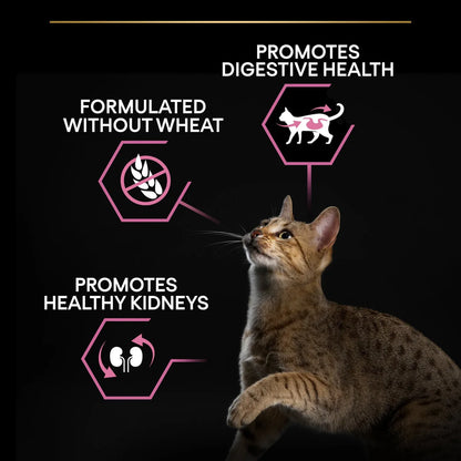 PRO PLAN Delicate Adult -OPTIDIGEST- Rich in Turkey Dry Cat Food - 1.5 KG