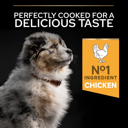 PURINA PRO PLAN Medium Puppy with OPTISTART Rich in Chicken Dry Food-3 KG