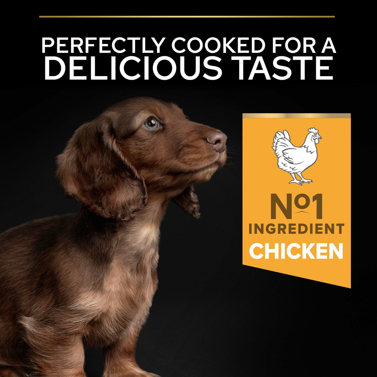 PURINA PRO PLANSmall & Mini Puppy with OPTISTART®, Rich in Chicken Dry Dog Food - 3 KG