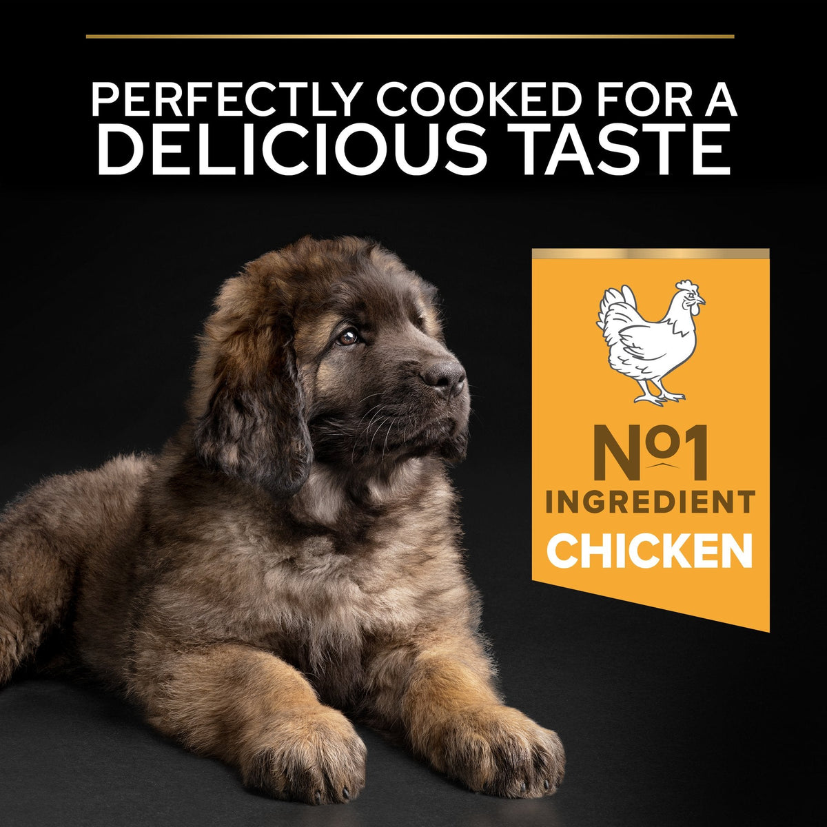 PURINA PRO PLANLarge Robust Puppy with OPTISTART® Rich in Chicken Dry Food - 3 KG