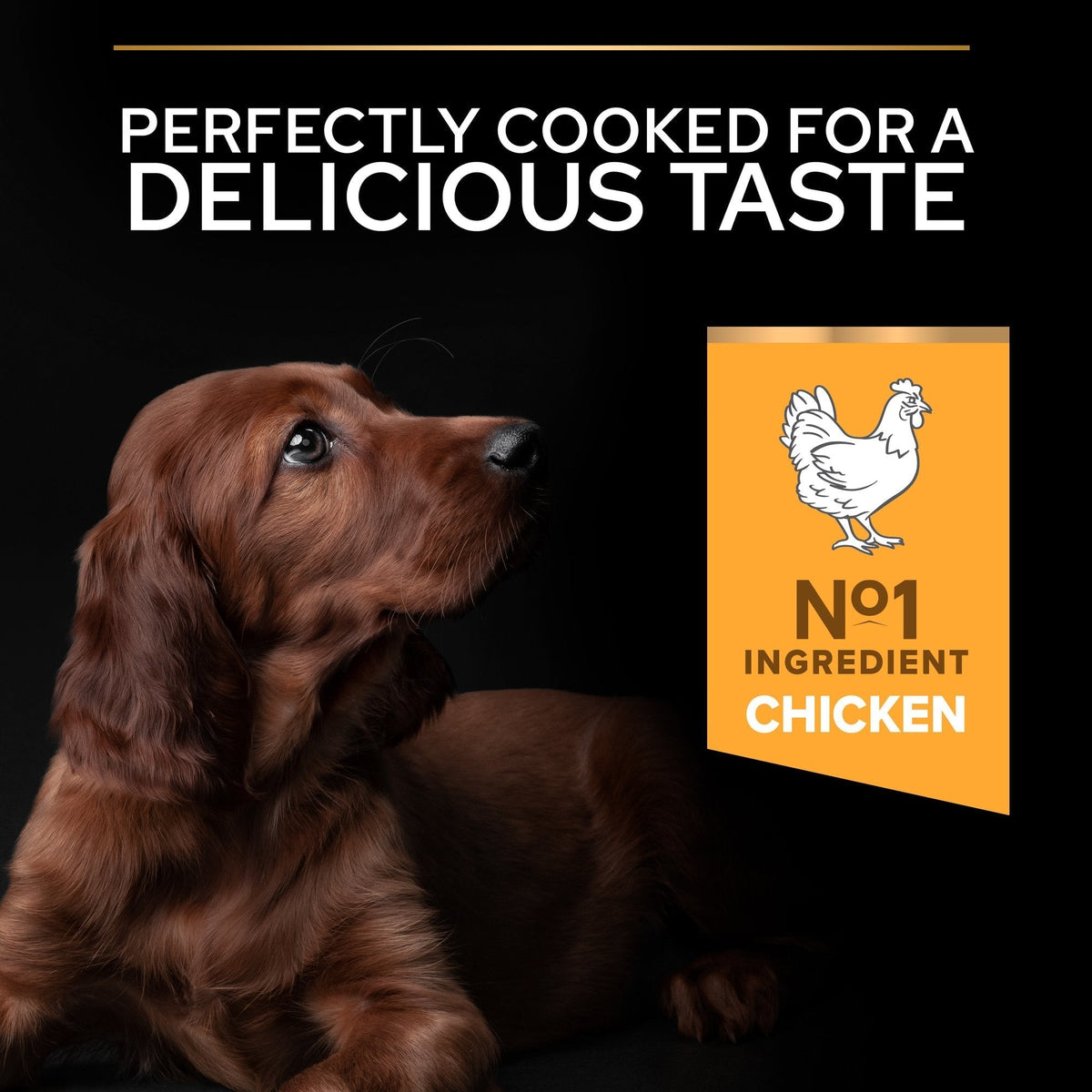 PURINA PRO PLANLarge Puppy Athletic with OPTISTART® Dry Dog Food Rich in Chicken - 3 KG