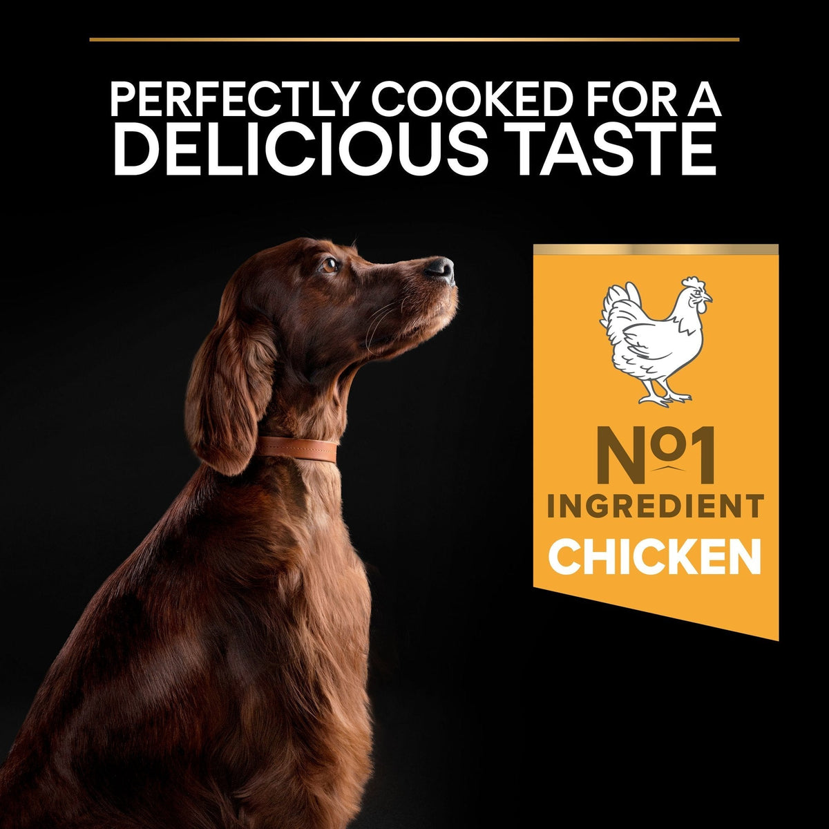 PURINA PRO PLANLarge Athletic OPTIBALANCE® Dry Dog Food Rich in Chicken - 14kG
