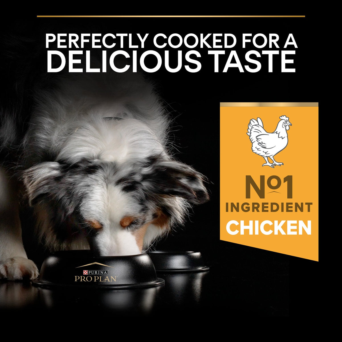 PURINA PRO PLANAll Sizes Adult Light / Sterilised with OPTIWEIGHT®, Rich in Chicken Dry Dog Food - 3 KG