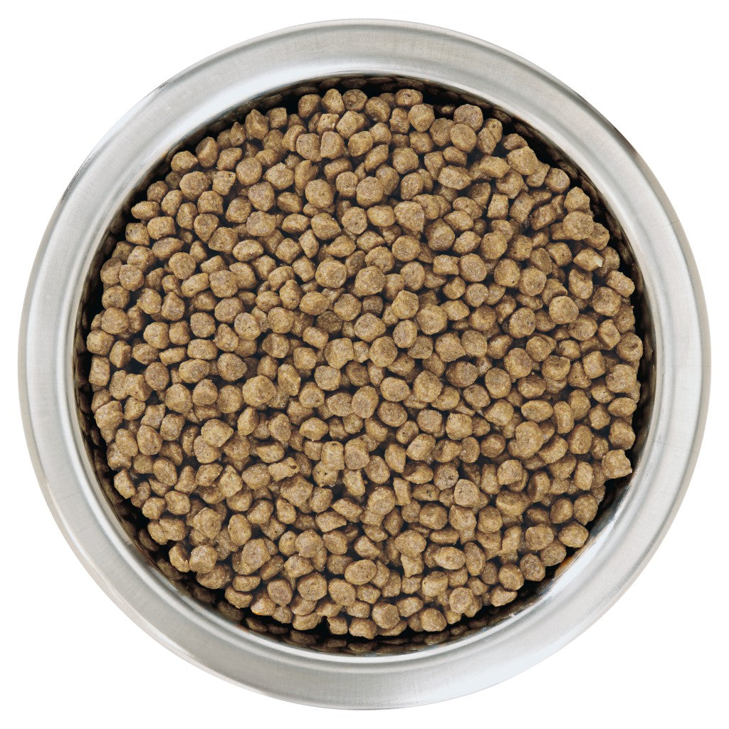 PURINA PRO PLANSmall & Mini Puppy with OPTISTART®, Rich in Chicken Dry Dog Food - 3 KG