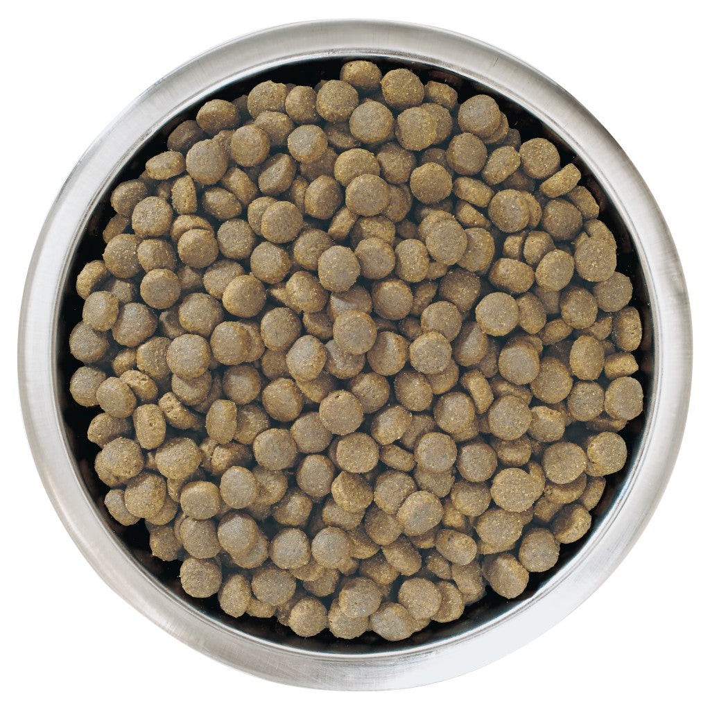 PURINA PRO PLANLarge Robust Puppy with OPTISTART® Rich in Chicken Dry Food - 3 KG