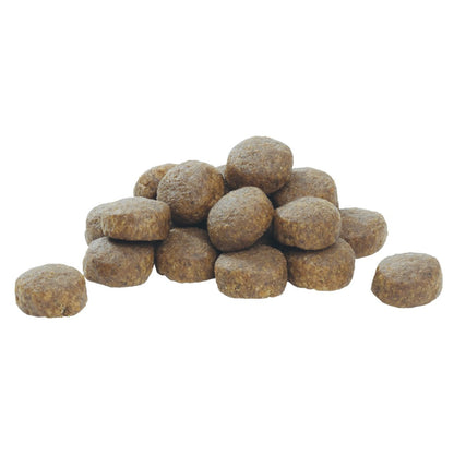PURINA PRO PLANLarge Robust Puppy with OPTISTART® Rich in Chicken Dry Food - 12 KG