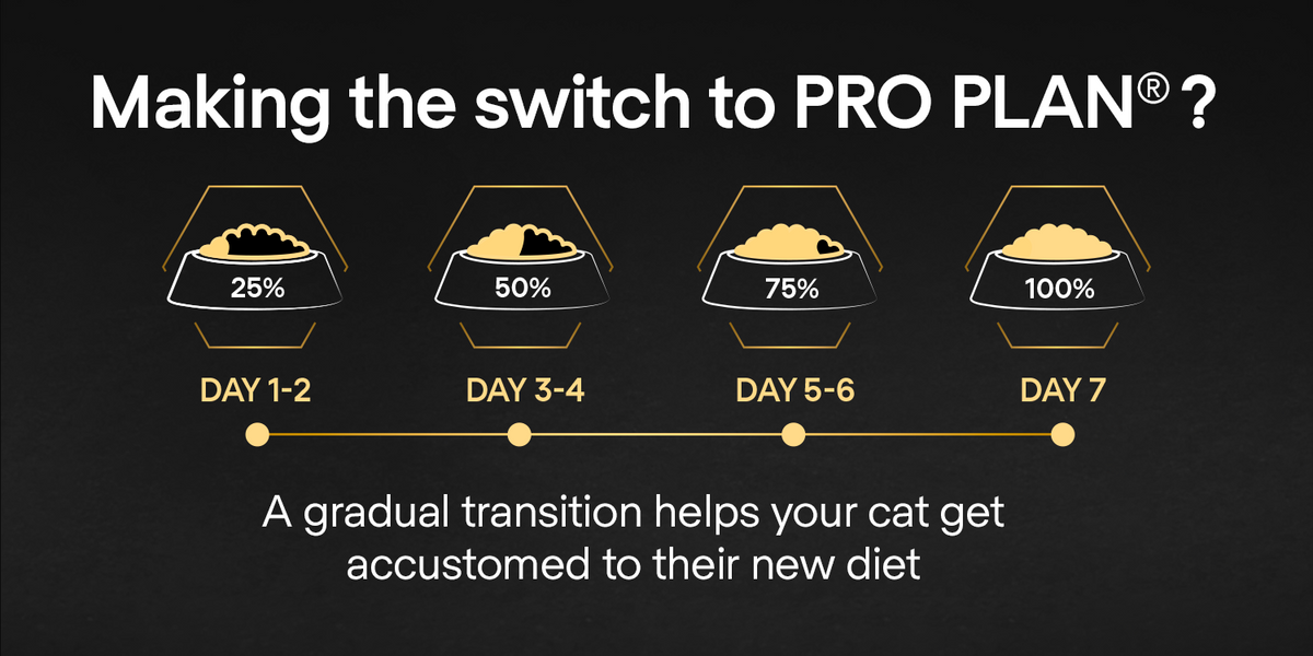 PURINA PRO PLAN Delicate Adult -OPTIDIGEST- Rich in Turkey Dry Cat Food - 10 KG