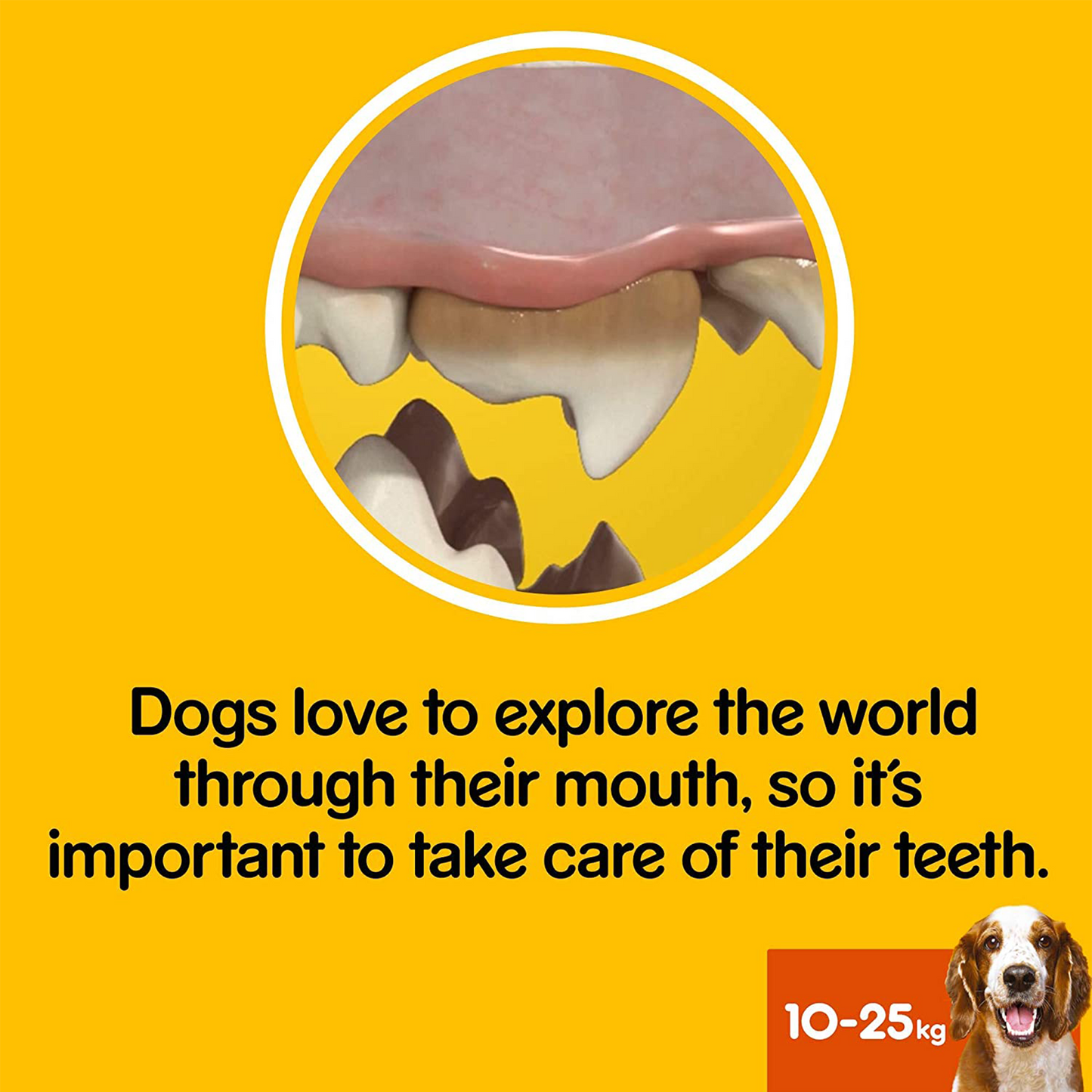 Pedigree Dentastix - Daily Oral Care - 7 Sticks - Medium 10-25kg