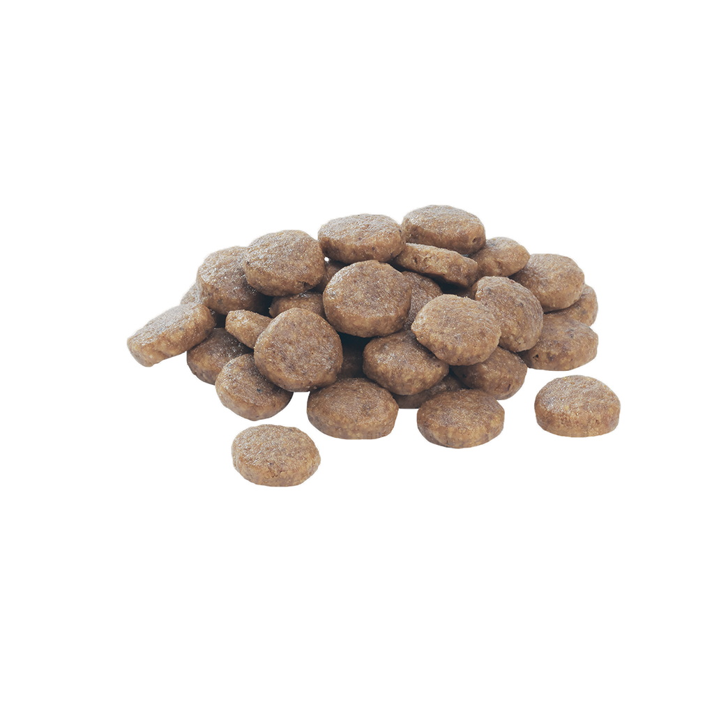 PURINA PRO PLAN Medium Puppy with OPTISTART Rich in Chicken Dry Food-12 KG